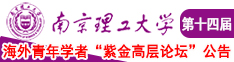 操逼操你南京理工大学第十四届海外青年学者紫金论坛诚邀海内外英才！